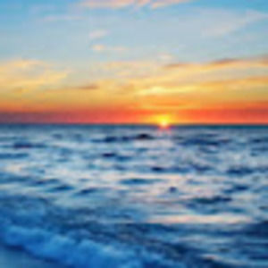 Meet your Posher, Angelina